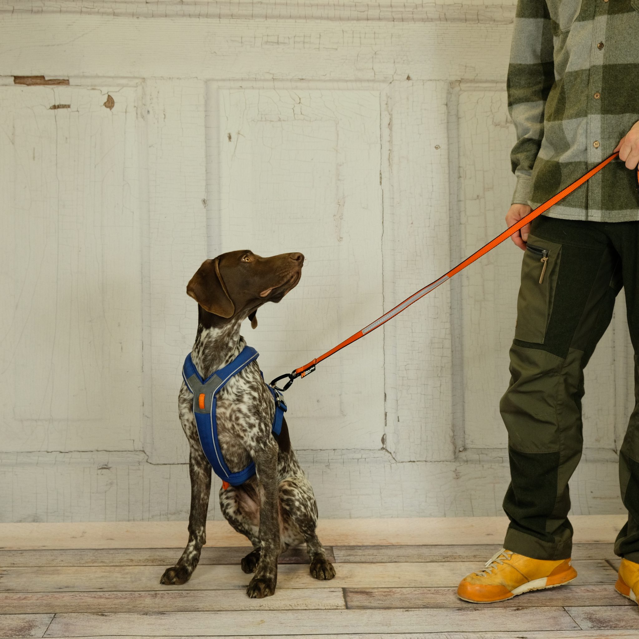 NonStop Dogwear Line Harness Giron Adventures